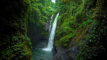 waterfall with rocks among tropical jungle with green plants and trees and water falling down into riverの写真素材
