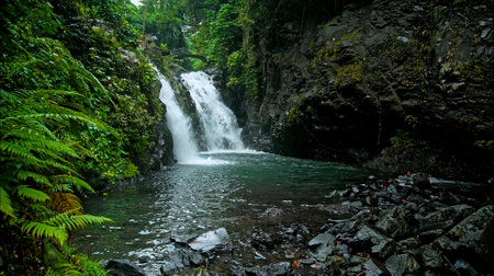 waterfall with rocks among tropical jungle with green plants and trees and water falling down into riverの写真素材