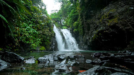 waterfall with rocks among tropical jungle with green plants and trees and water falling down into riverの写真素材