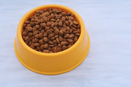 Yellow plastic bowl full with dog food on white wooden background. Pet feeding and care concept