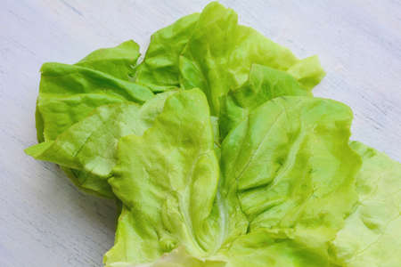 Lettuce vegetable on white wooden background. Salad leaf.