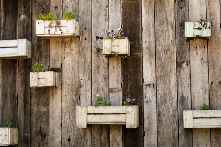 Wooden pots with flowers hanging on wooden wall.の写真素材