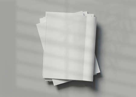 3d illustration. Blank magazine mockup.