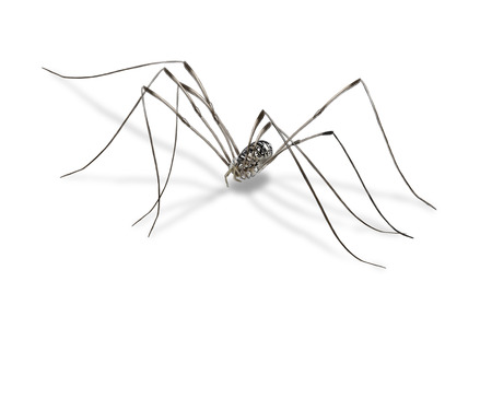 Digital illustration of a harvestmen, isolatedの写真素材