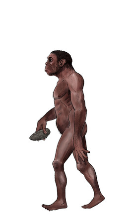 Homo habilis digital illustration, inked
