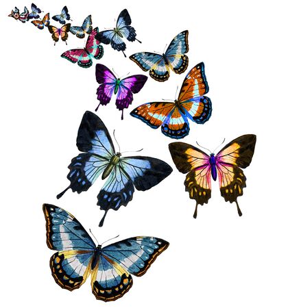 Digital illustration of a butterflyの写真素材