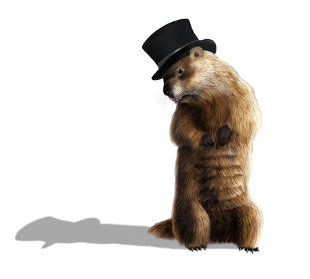 Digital illustration of a groundhog looking at his shadowの写真素材