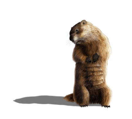 Digital illustration of a groundhog looking at his shadowの写真素材
