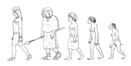 Human evolution digital  illustration, homo erectus, australopithecus,sapiensの写真素材