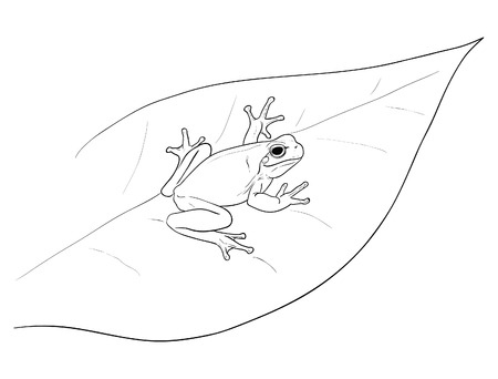 Tree Frog camouflage digital illustrationの写真素材