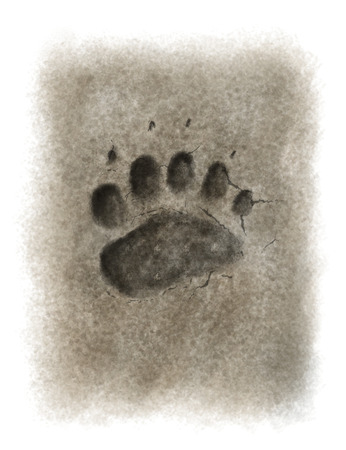 Digital illustration of a bear footprintの写真素材