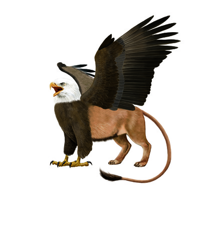 Digital illustration of a Gryphonの写真素材