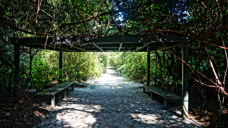 Magnolia Plantation and Gardens in Charleston, South Carolina