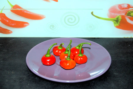 Collection Peppers: Live with more flavor!の写真素材