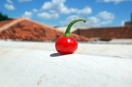Collection Peppers: Live with more flavor!の写真素材