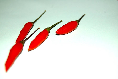 Collection Peppers: Live with more flavor!の写真素材