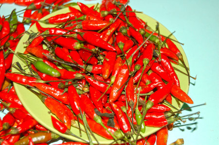 Collection Peppers: Live with more flavor!