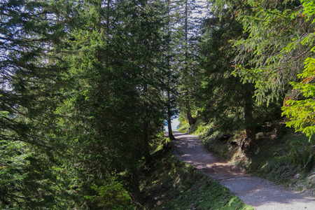 Path in the Swiss alps leading up to the Leistchamm on the Churfirst mountain in Toggenburgの写真素材