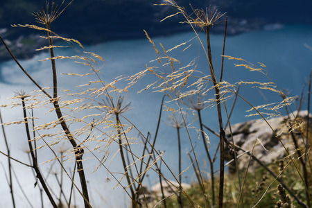 Hiking in the Swiss alps: walking up the Churfirst in the mountains and watching the sparkling sun...