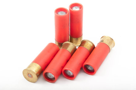 12 caliber bullets