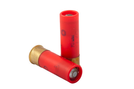 Shotgun shell isolated in white 
