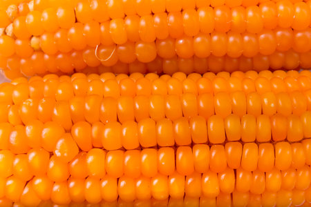 corn dry head closeup