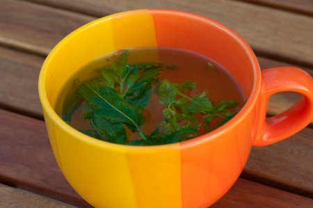 cup of hot mint tea on a table outsideの写真素材