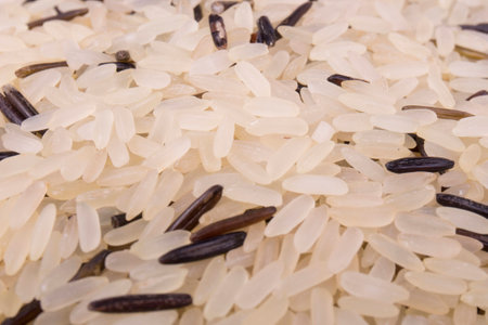 Mix rice closeupの写真素材