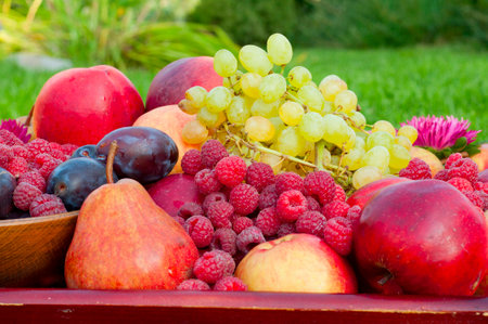 different types of fruit and raspberry closeup with flower asterの写真素材