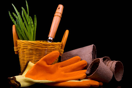peat pots for seedlings, rakes, orange gloves, onion seedlings and basket on a black backgroundの写真素材