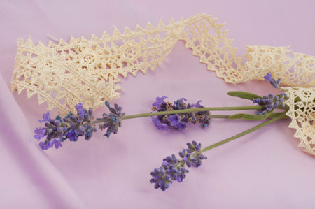 romantic composition of the branches of blooming lavender and ribbonの写真素材