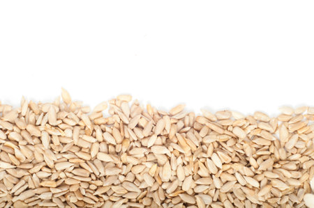 Shelled sunflower seeds on white backgroundの写真素材