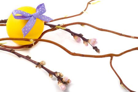 yellow easter egg with blossoming peach and willow branches in early spring on a white backgroundの写真素材