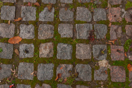 Pavement