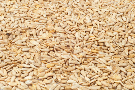 texture of the cleaned-sunflower seeds