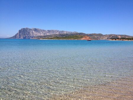 Spring seaの写真素材