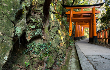 Green moss covered stone wall and Red Torii gates in Fushimi Inari shrine in Kyoto, Japanのeditorial素材