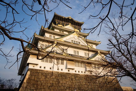 OSAKA, JAPAN - JAN 31, 2018: Low angle view of Osaka Castle surrounded by brunches at sunsetのeditorial素材