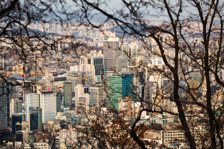 SEOUL, SOUTH KOREA - JAN 22, 2018: Aerial shot of Seoul skyline framed with brunches from Namsan Park at sunsetのeditorial素材