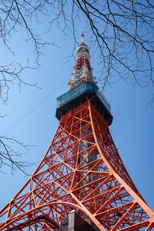 TOKYO, JAPAN - 15 FEB 2018: Tokyo tower Eiffel replica framed by brunches and low angle at daytimeのeditorial素材