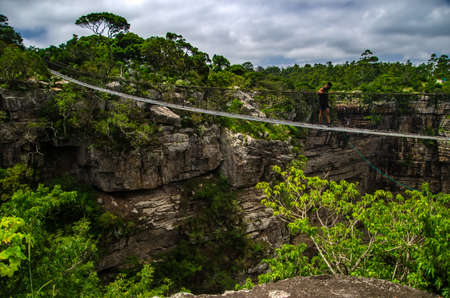 Hanging bridge over a gorge full of vegetation