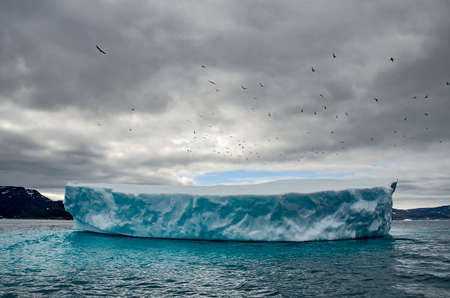 Group of seagulls flying over a big icebergの写真素材