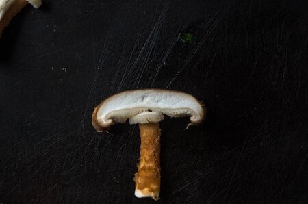 Mushroom slice  ,close-upの写真素材