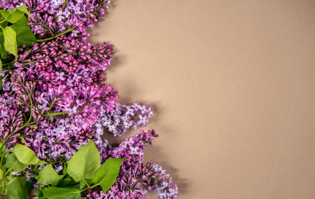 top view of lilac flowers isolated on brown paper texture background with copy space