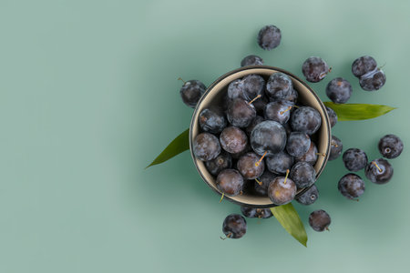 top view of small sour dark purple fruit sloes on a bowl on a blue background with copy spaceの写真素材