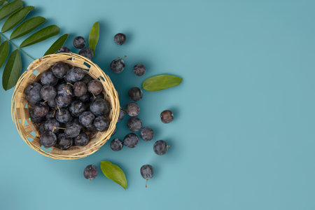 top view of the small dark globose astringent fruit sloes on a bucket with leavesの写真素材