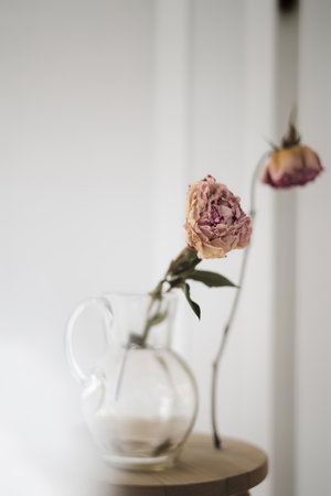 Dry peony flower in a glass jug on a wooden stool in a white roomの写真素材