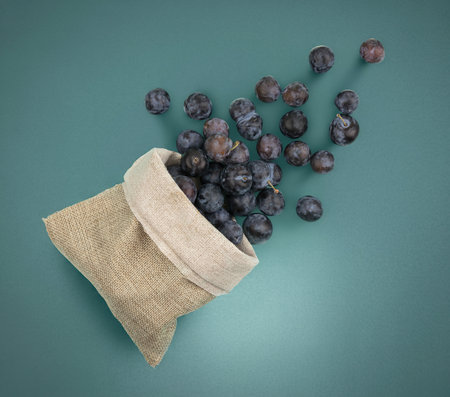 top view of the small dark globose astringent fruit sloes falling out of a burlap bagの写真素材