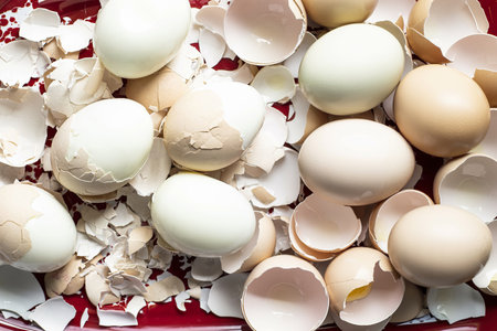 Peeled fresh organic raw eggs on a tray