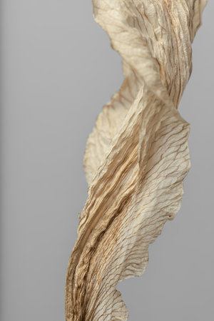 Dried lily flower on a gray backgroundの写真素材